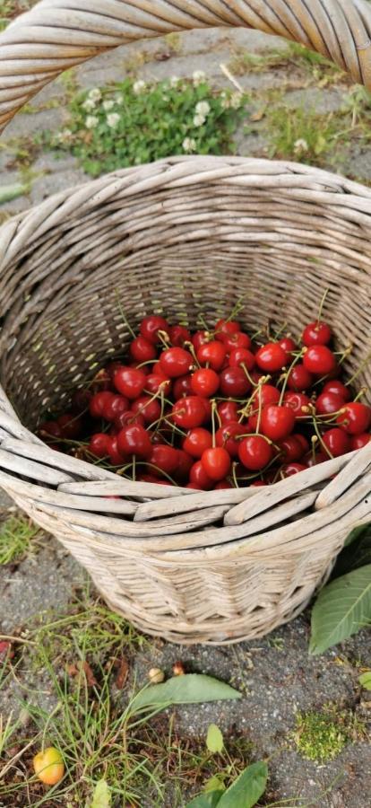 Treffpunkt Gehrden Διαμέρισμα Jork Εξωτερικό φωτογραφία